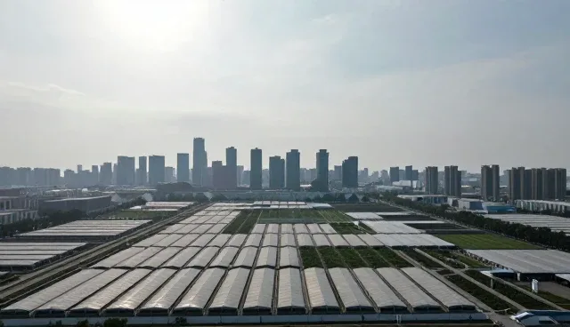 企业信息展示:如何提升匹配效率与精准度